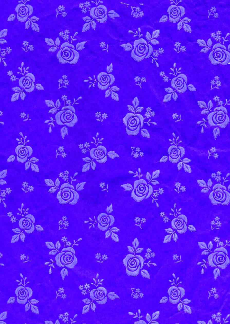 Rosas Blancas Fondo Violeta