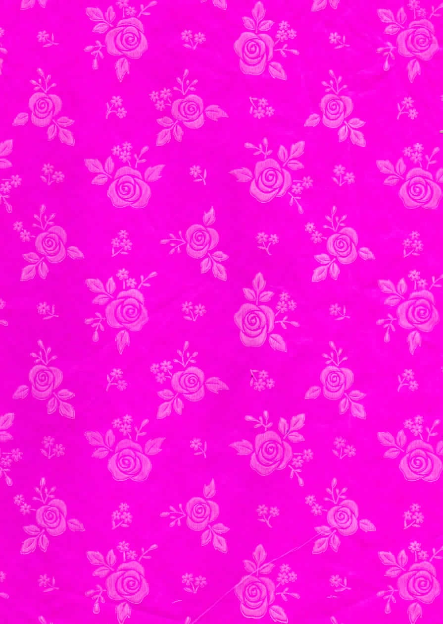 Rosas Blancas Fondo Fucsia
