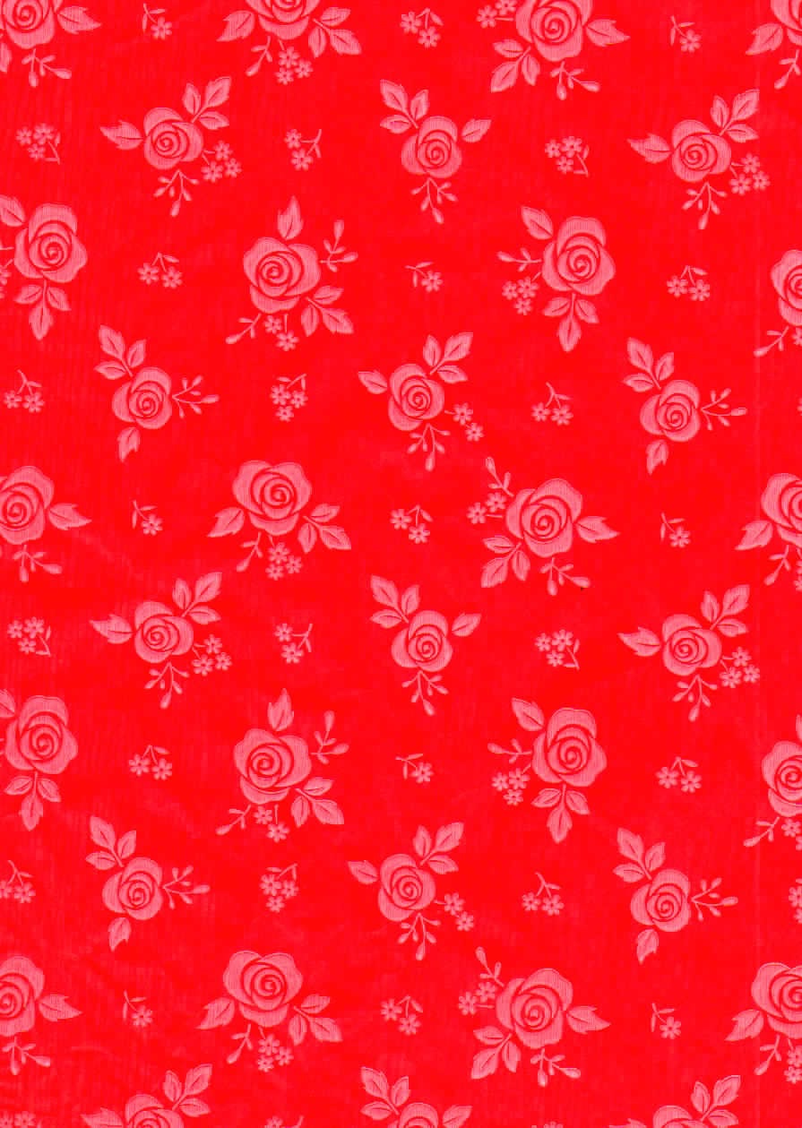 Rosas Blancas Fondo Rojo