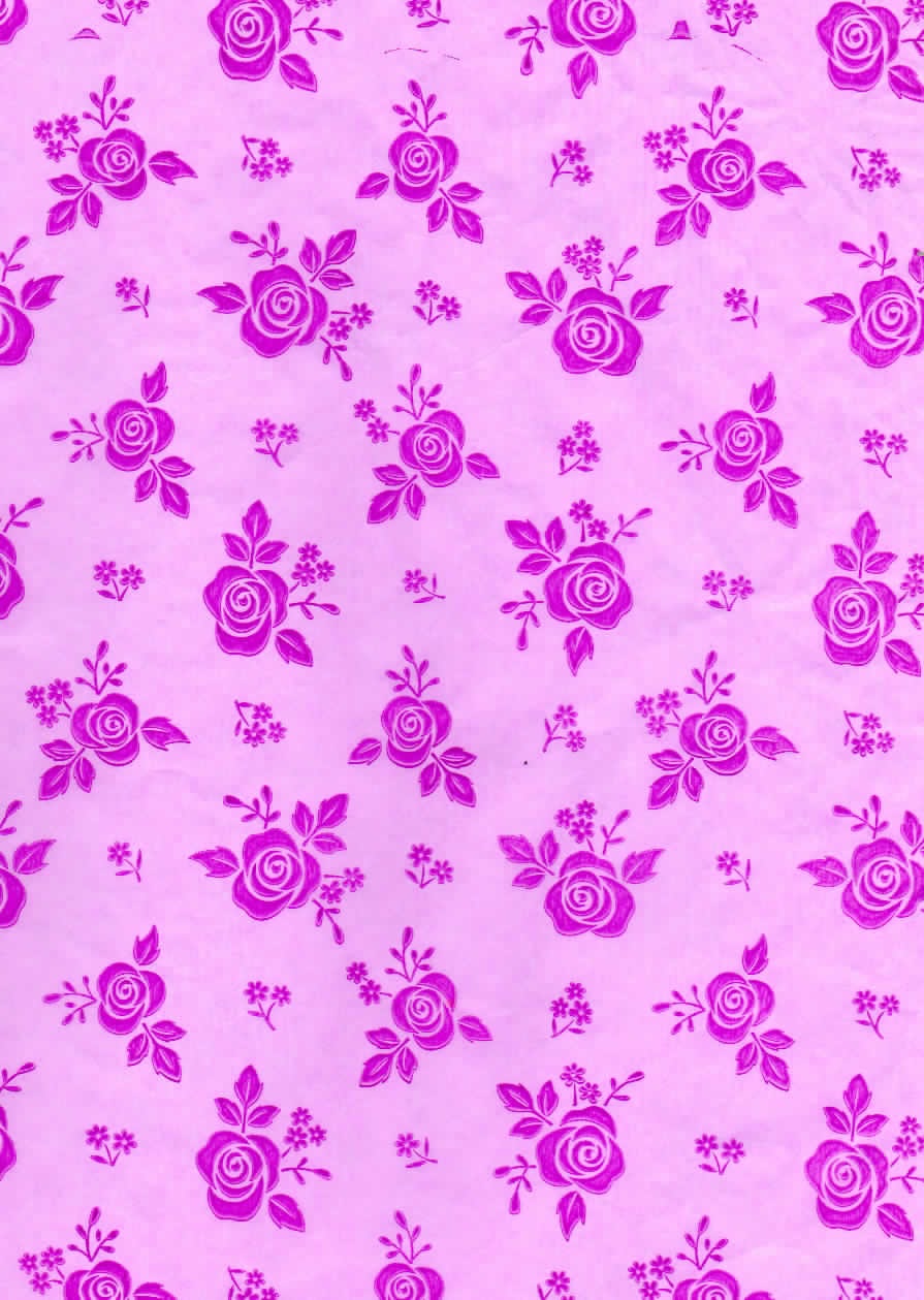 Rosas Fucsia Fondo Rosado