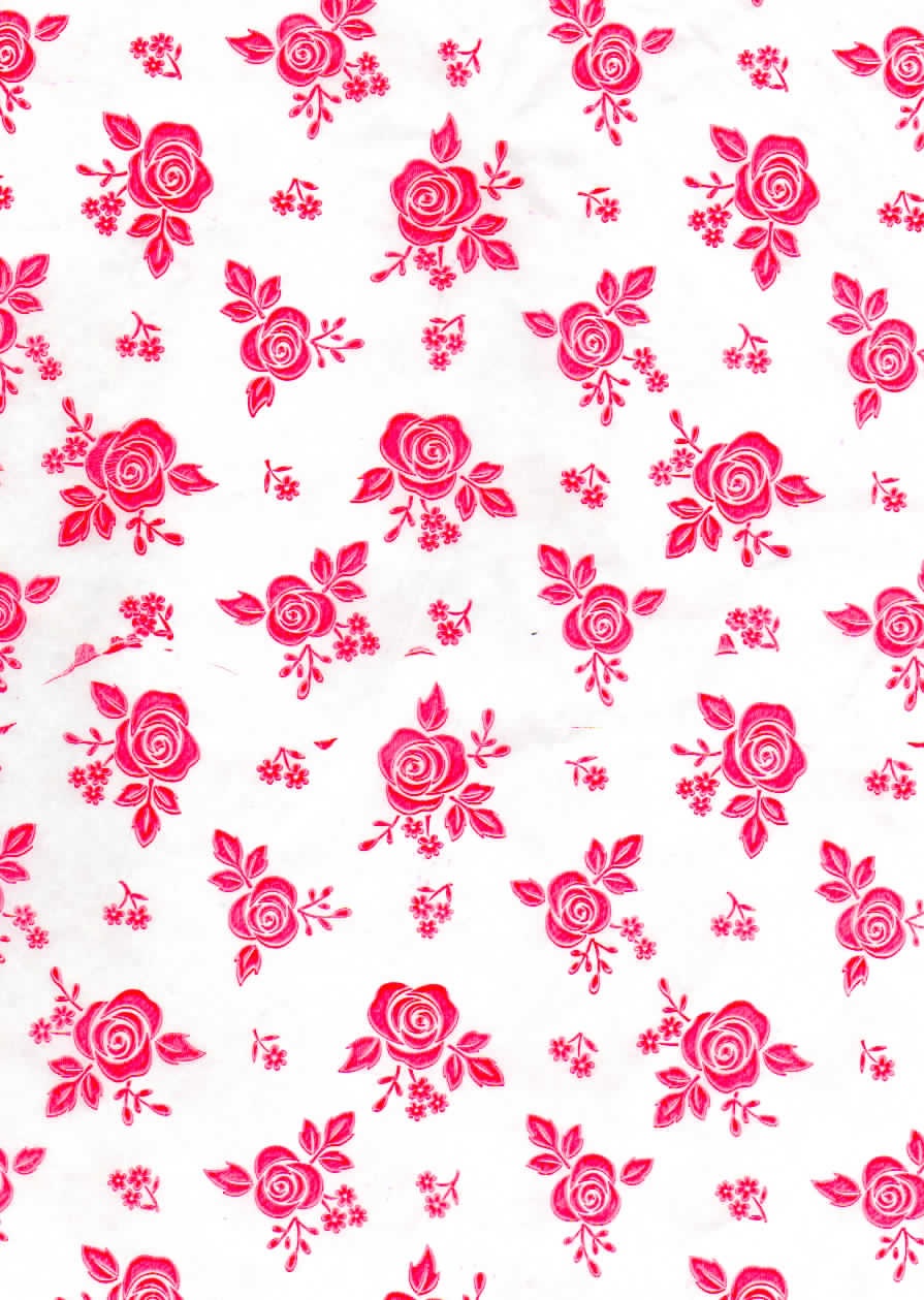 Rosas Rojas Fondo Blanco